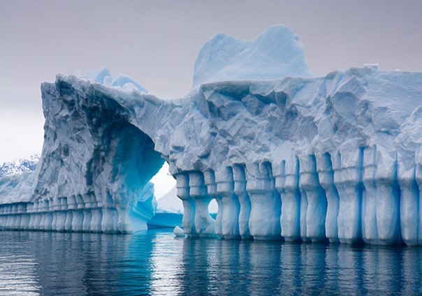 Ледник Плено, Антарктида