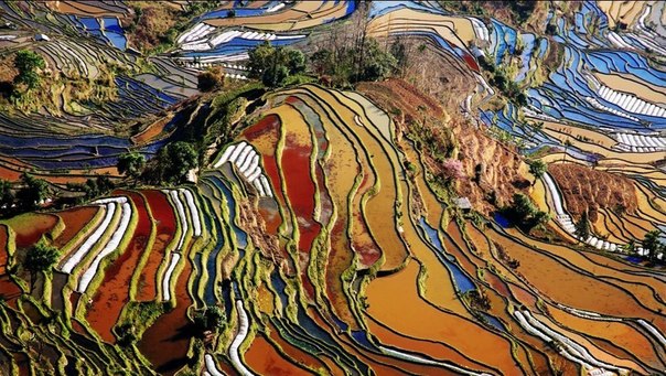 Рисовые террасы, расположенные в округе Юаньян в провинции Юньнань в Китае, одни из самых больших и живописных в мире.