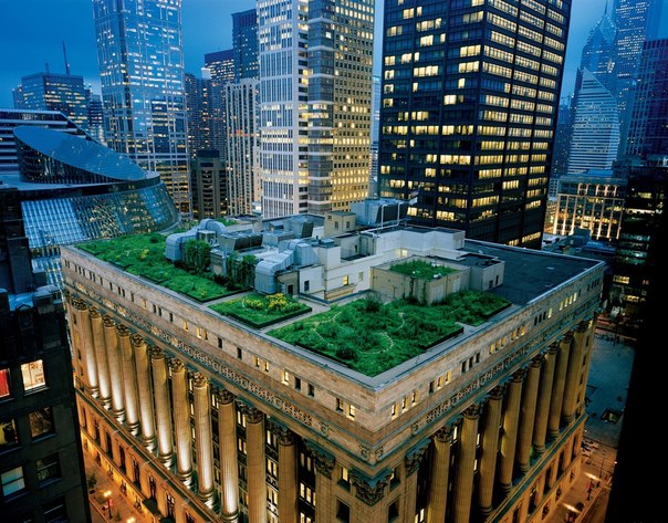 «Зелёная крыша» здания City Hall в Чикаго, Иллинойс.