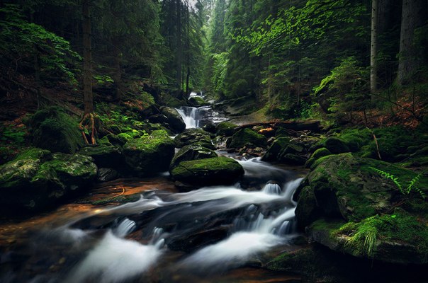Баварский лес. Германия