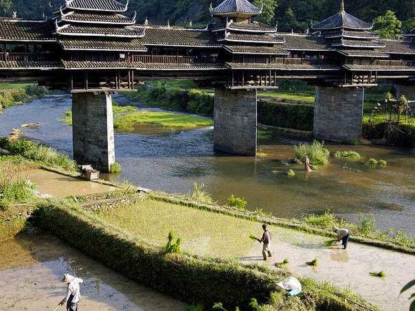 Мост дождя и ветра через реку Санцзян в китайской провинции Ченьянь был построен из дерева и камня без использования гвоздей. 