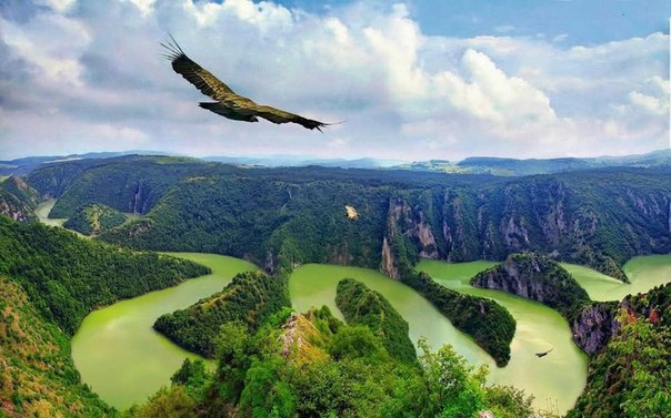 Каньон Увац, Сербия. Образован рекой Увац. Известен как последнее пристанище вымирающих птиц - белоглавых сипов.