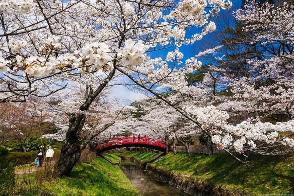 Весна в парке города Сукагава, в префектуре Фукусима, Япония