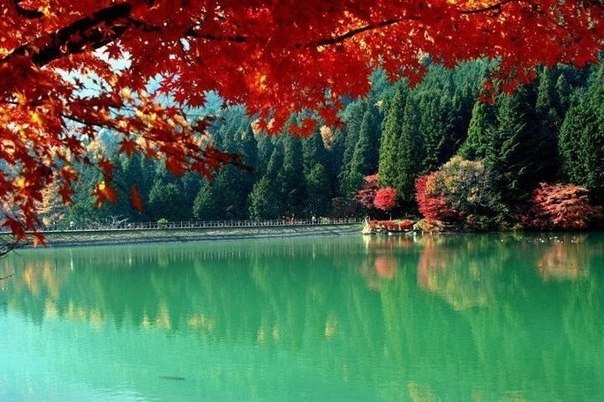 Осенний вид на Яманаши Кен, Япония