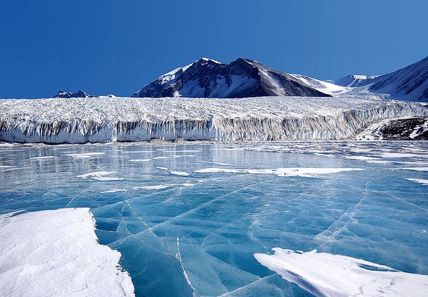 Синий лёд озера Фрикселл в Трансантарктических горах в Антарктиде.