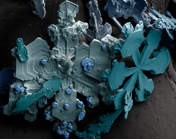 Снежинки, увеличенные при помощи сканирующего электронного микроскопа...