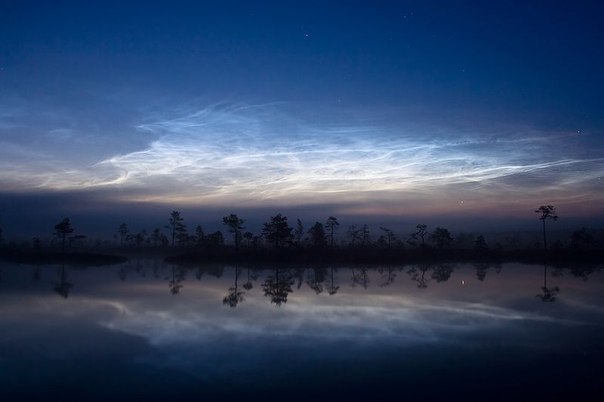 Серебристые облака над болотом Куресоо в национальном парке Соомаа, Эстония.