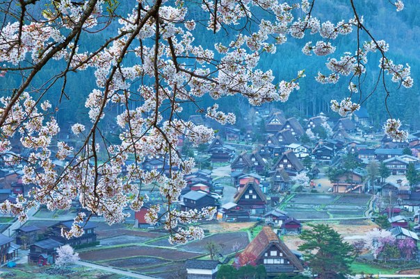 Деревушка Сиракава-го, остров Хонсю, Япония. Находится далеко в горах, являясь одним из тех немногих мест, где жизнь идет своим чередом вдали от цивилизации, как и много лет назад.
