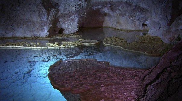 Лечугия (англ. Lechuguilla) — пещера на территории национального парка Карлсбадские пещеры. Одна из длиннейших пещер мира (210 км) и глубочайшая пещера континентальной части США (−489 м). Пещера уникальна по своему происхождению и многообразию кристаллических минеральных отложений. Название пещеры соответствует названию каньона, в котором располагается вход, а тот, в свою очередь, именуется по латинскому названию распространённого местного вида агавы (Agave lechuguilla).