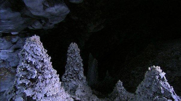 Лечугия (англ. Lechuguilla) — пещера на территории национального парка Карлсбадские пещеры. Одна из длиннейших пещер мира (210 км) и глубочайшая пещера континентальной части США (−489 м). Пещера уникальна по своему происхождению и многообразию кристаллических минеральных отложений. Название пещеры соответствует названию каньона, в котором располагается вход, а тот, в свою очередь, именуется по латинскому названию распространённого местного вида агавы (Agave lechuguilla).