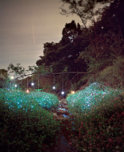 Художник и фотограф Ли Юниеол (Lee Eunyeol) презентовал проект под названием «Звездное небо», главная идея которого создать иллюзию обрушившихся на землю звезд.