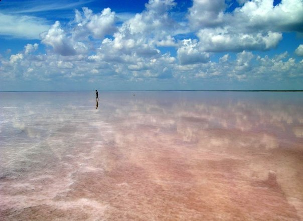 Эльтон — солёное бессточное озеро в Палласовском районе Волгоградской области, недалеко от границы с Казахстаном. Самое большое по площади минеральное озеро Европы и одно из самых минерализованных в мире.