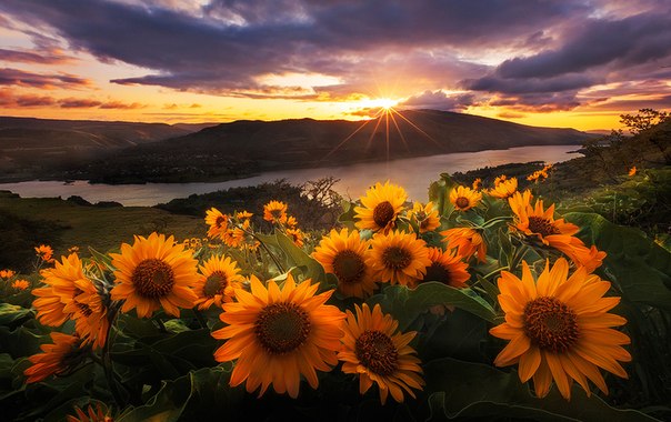 Рассвет, плато Ровена, штат Орегон, США 