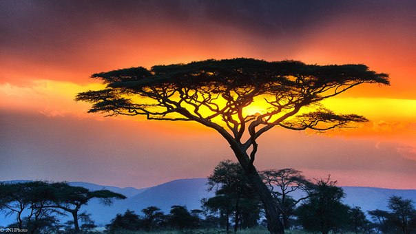 Танзания, Африка