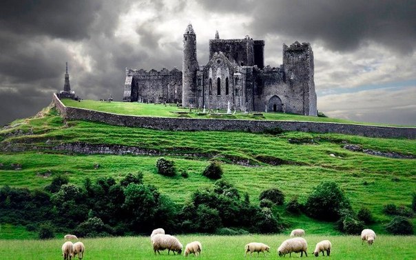Пасущиеся овцы на фоне крепости, Ирландия