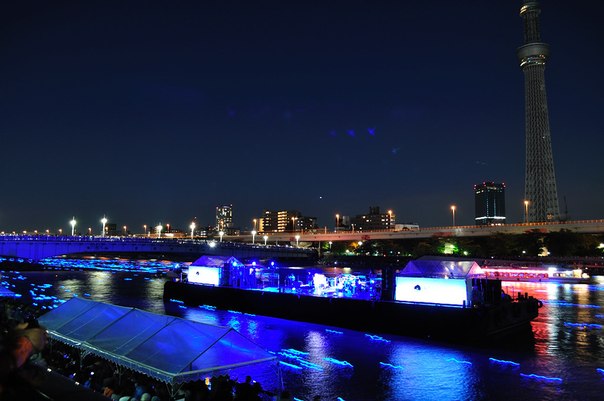 Фестиваль светлячков в Токио (Tokyo Hotaru Festival 2012)