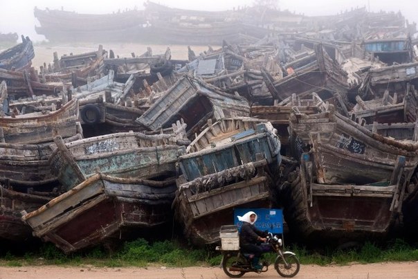 Рыбацкие лодки в порту города Циндао, Китай. Чрезмерный вылов рыбы, загрязнение океана и высокие цены на дизельное топливо почти парализовали рыбную промышленность в Восточном Китае.