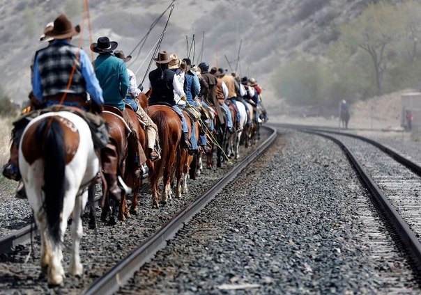 Ковбои по пути на ежегодный перегон лошадей в штате Монтана 6 мая 2012 г. 