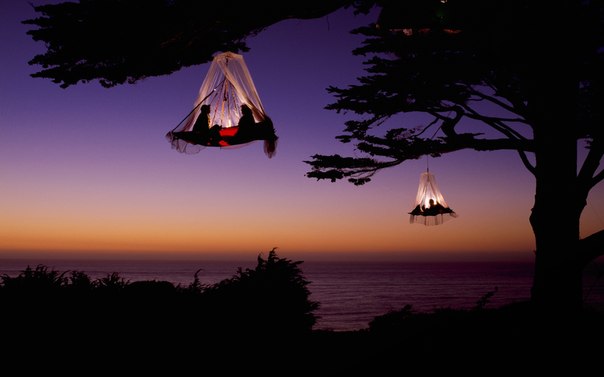Кемпинг на деревьях, побережье Калифорнии