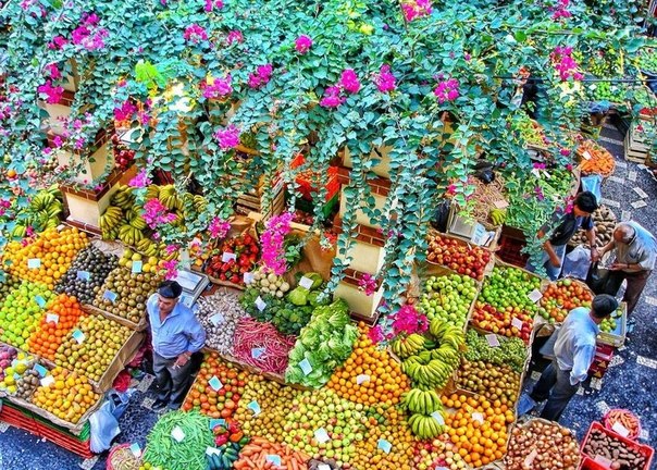 Фруктовый рынок на острове Мадейра