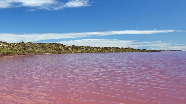 Озеро Хильер (Hillier), расположенное на острове Миддл (Middle, Западная Австралия), - уникальное природное явление. Нежно-розовые оттенки воды на фоне золотистого песка и зеленеющих эвкалиптов создают фантастические ландшафты. Мелководный водоем имеет естественное происхождение; такой цвет - не результат сброса химикатов, а еще одно чудо света. Длина его не превышает 600 метров, а ширина составляет около 250 метров.