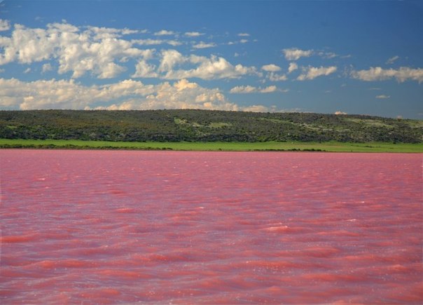 Озеро Хильер (Hillier), расположенное на острове Миддл (Middle, Западная Австралия), - уникальное природное явление. Нежно-розовые оттенки воды на фоне золотистого песка и зеленеющих эвкалиптов создают фантастические ландшафты. Мелководный водоем имеет естественное происхождение; такой цвет - не результат сброса химикатов, а еще одно чудо света. Длина его не превышает 600 метров, а ширина составляет около 250 метров.