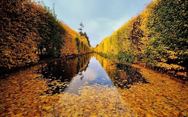 Осенний парк в Гданьске, Польша