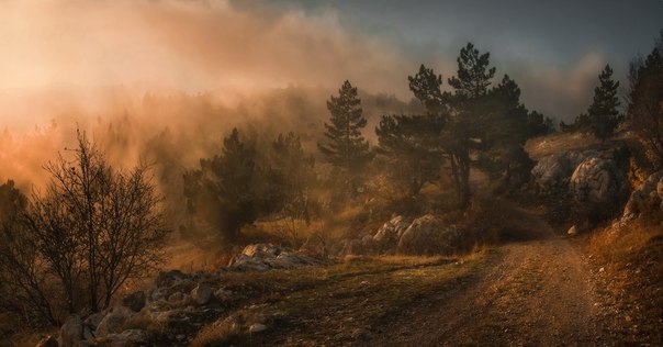 В туманах плато Ай-Петри, Крым, Украина.