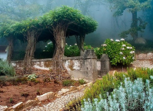 Старый сад в городе Синтра, Португалия
