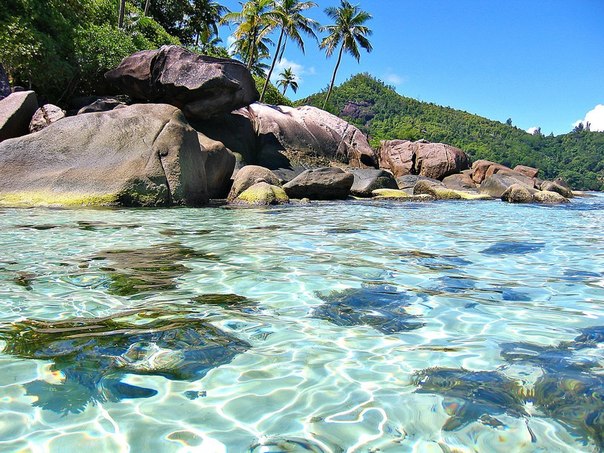 Прозрачные воды Сейшельских островов