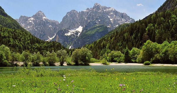 Юлийские Альпы (Юлианские Альпы) — горный хребет, отрог Альп, располагающийся в итальянском регионе Фриули-Венеция-Джулия, а также в словенской местности Крайна.