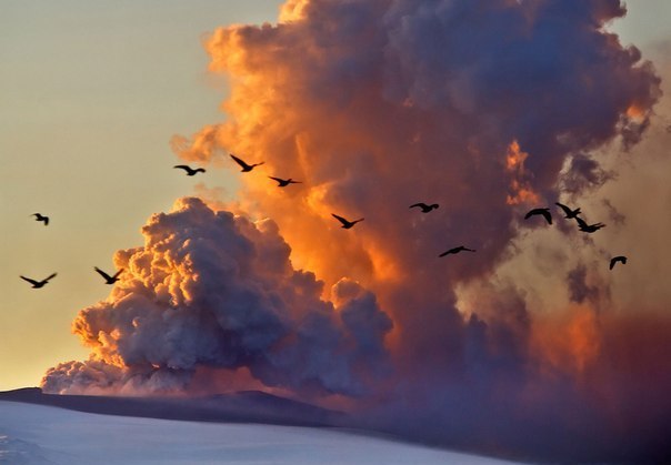 Облако вулканического пепла над вулканом Эйяфьятлайокудль, Исландия. Извержение именно этого вулкана в апреле 2010 года стало причиной закрытия воздушного пространства над Европой. 