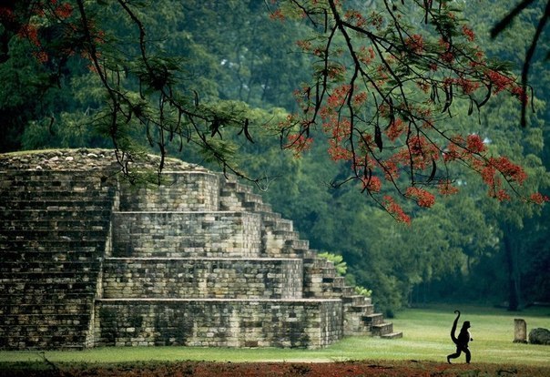 Гробница майя  и обезьянка, Гондурас.