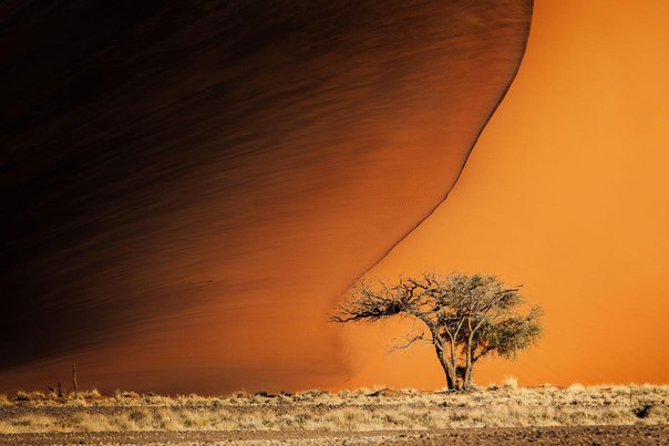 Пустыни Намибии, Африка
