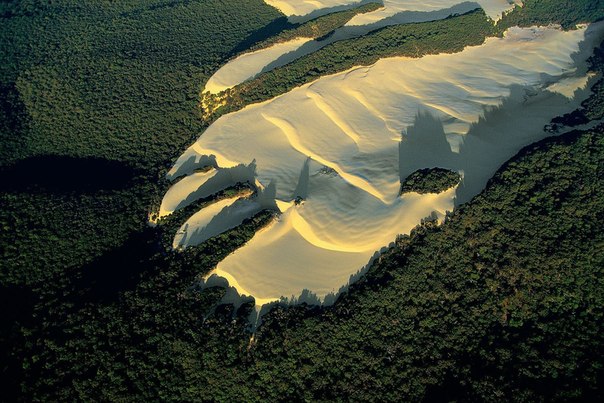 Песчаная дюна посреди леса на Острове Фрейзер, Квинсленд, Австралия.