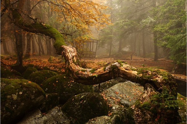 Национальный парк Витоша, Болгария.