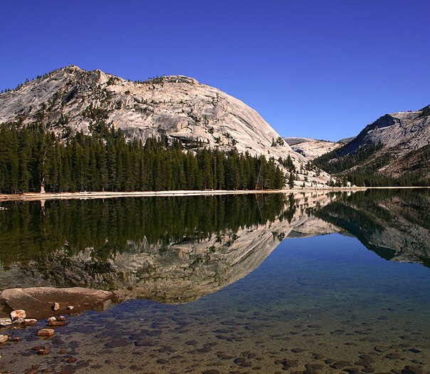 Гранитный купол отражается в водах озера Теная, Йосемитский национальный парк, США.