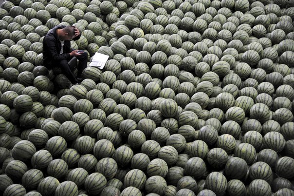 Торговец сидит на куче арбузов на рынке в Тайюане в провинции Шаньси на севере Китая