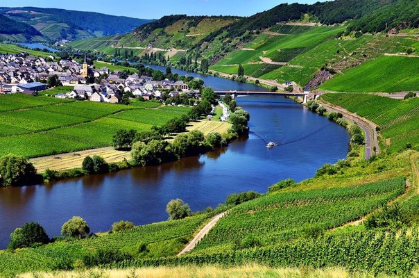 Река Мозель и виноградники, Западная Германия.