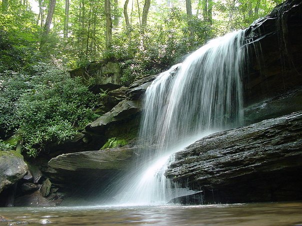 Водопад Джонатанс Ран в парке Огайопайл, Пенсильвания, США.