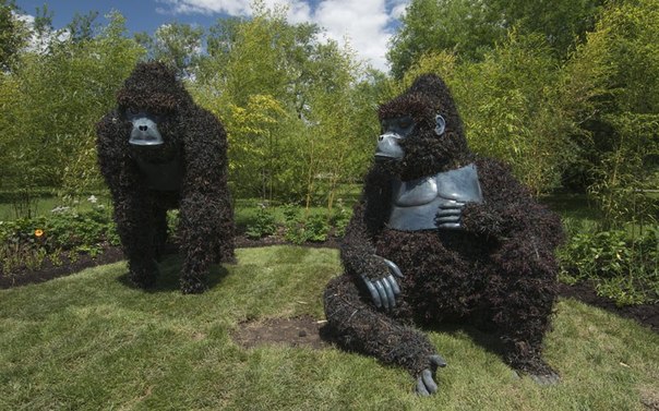 Выставка зеленых скульптур в Канаде