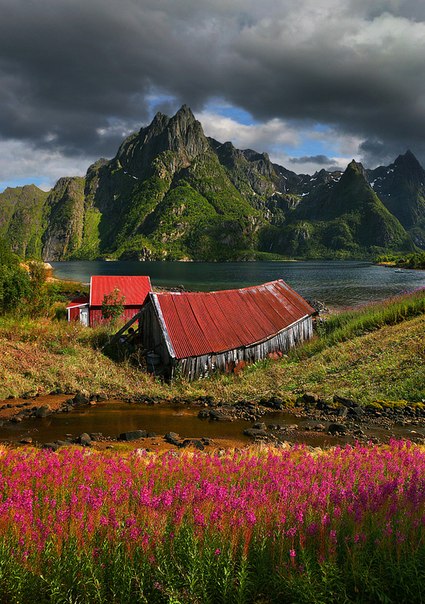 Норвегия - одна из самых красивых стран Европы. 