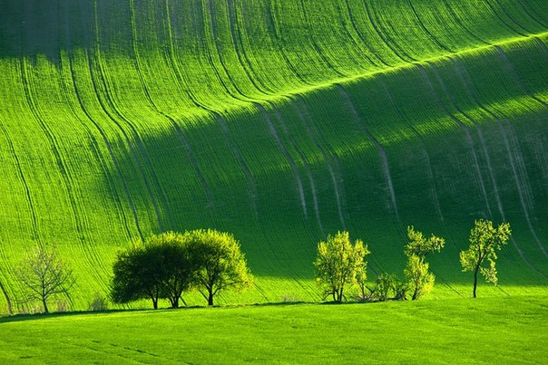 Зеленые луга Моравии, Чехия