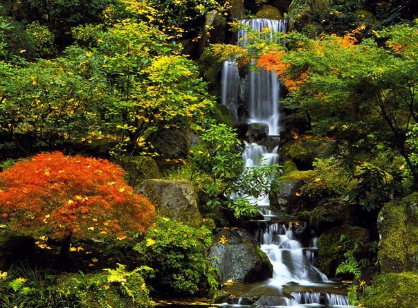 Портлендский японский сад, штат Орегон, США.
