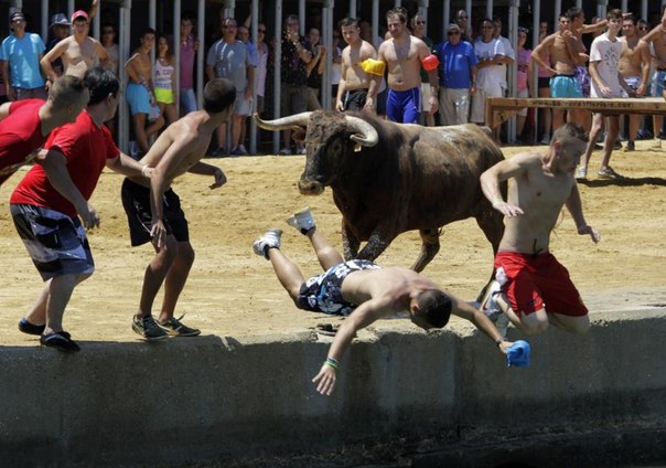 Злые испанские быки к «морскому бою» готовы