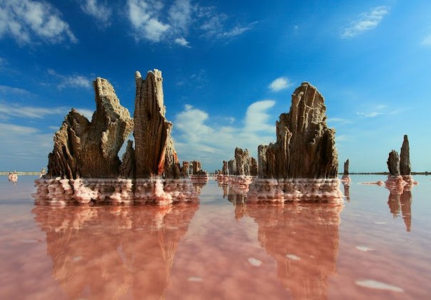 Снимок сделан на одном из соленых озер неподалеку от Евпатории в Крыму. Красноватый оттенок воды появляется летом и осенью из-за обилия микроорганизмов.