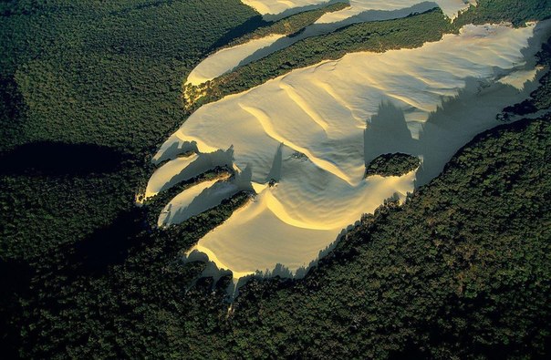 Песчаная дюна посреди леса на острове Фрейзер, Квинсленд, Австралия