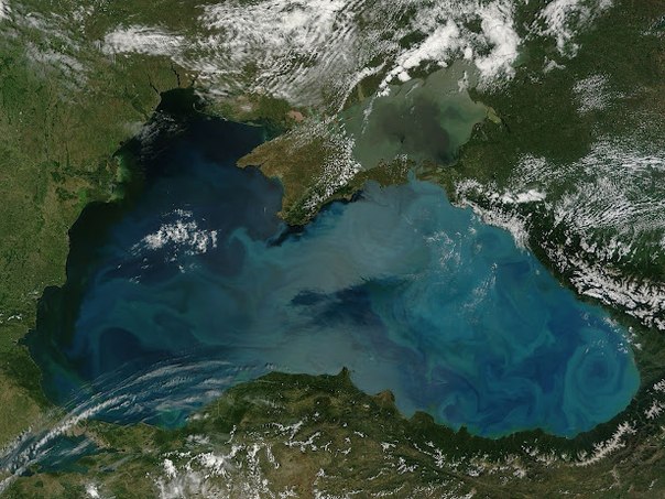 Молочно-голубые вихри в Черном море можно увидеть из космоса во время цветения фитопланктона, как правило, летом. Количество морских микроорганизмов, и, следовательно, интенсивность цвета, зависит от количества питательных веществ, температуры воды и многих других факторов. 