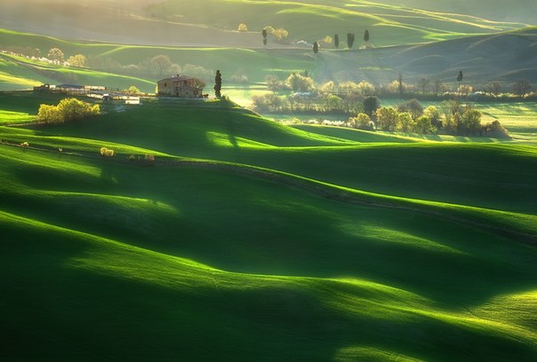 "Зеленые волны". Тоскана, Италия.