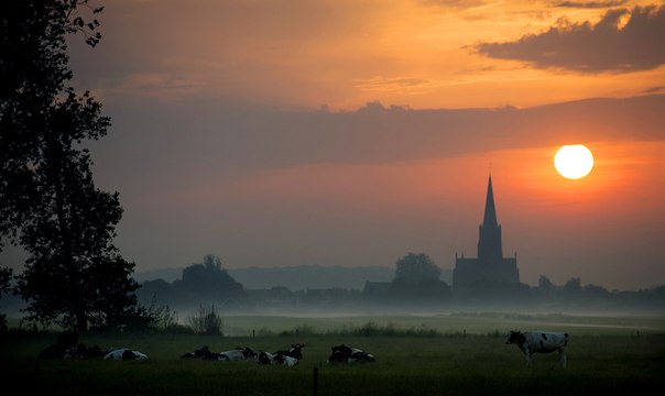 Солнце встаёт над городком Schalkwijk, Нидерланды, в один из самых тёплых дней в году, 19 июня 2013 года.
